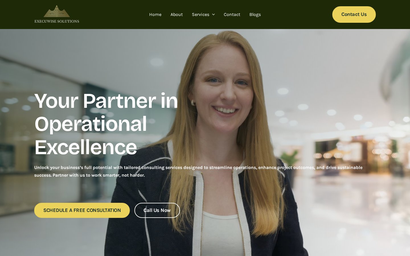 ExecuWise Solutions website